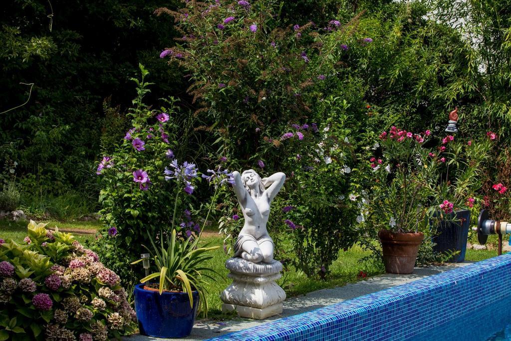 Villa Sonnenschein Héviz Pokój zdjęcie
